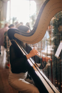 Sienna Harpist