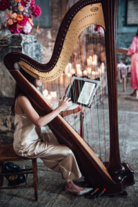 Katarina Harpist