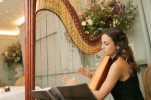 Katarina Harpist