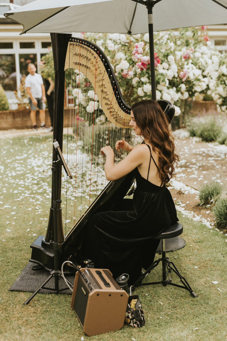 Sienna Harpist