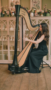 Sienna Harpist