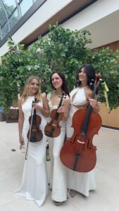 Allure Strings