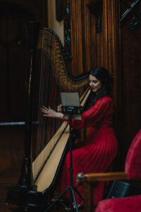 Sienna Harpist