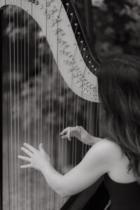 Sienna Harpist