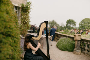 Sienna Harpist